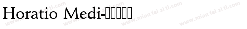 Horatio Medi字体转换